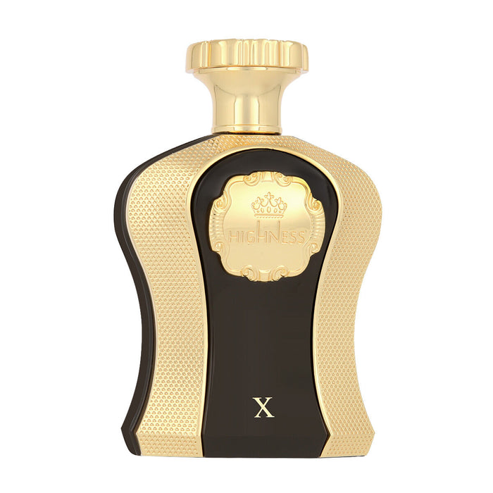 Miesten parfyymi Afnan EDP Highness X 100 ml
