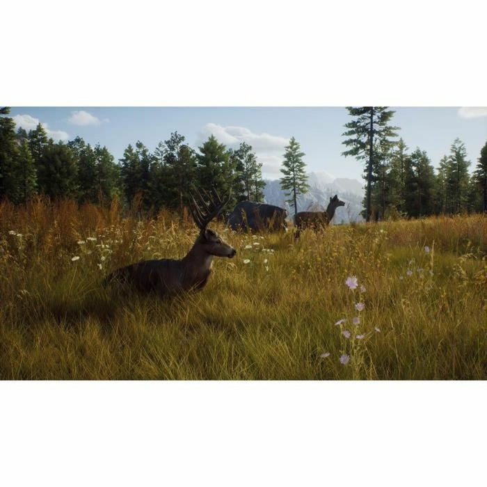 Xbox Series X videopeli THQ Nordic Way of the Hunter: Hunting Season One